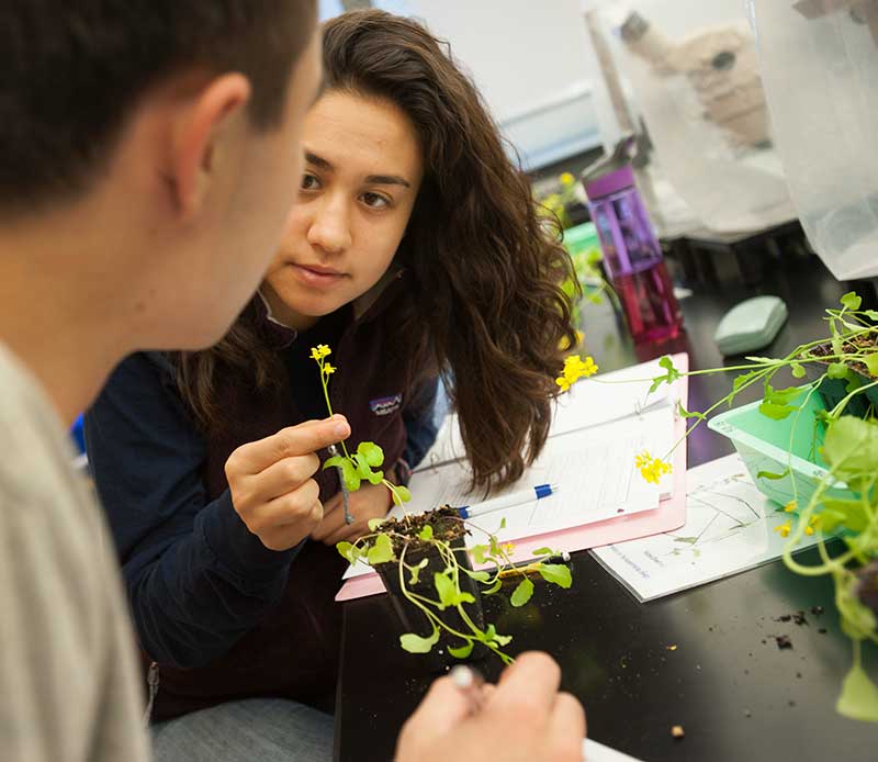 Female student holding a mustard plant and interacting with male student 
