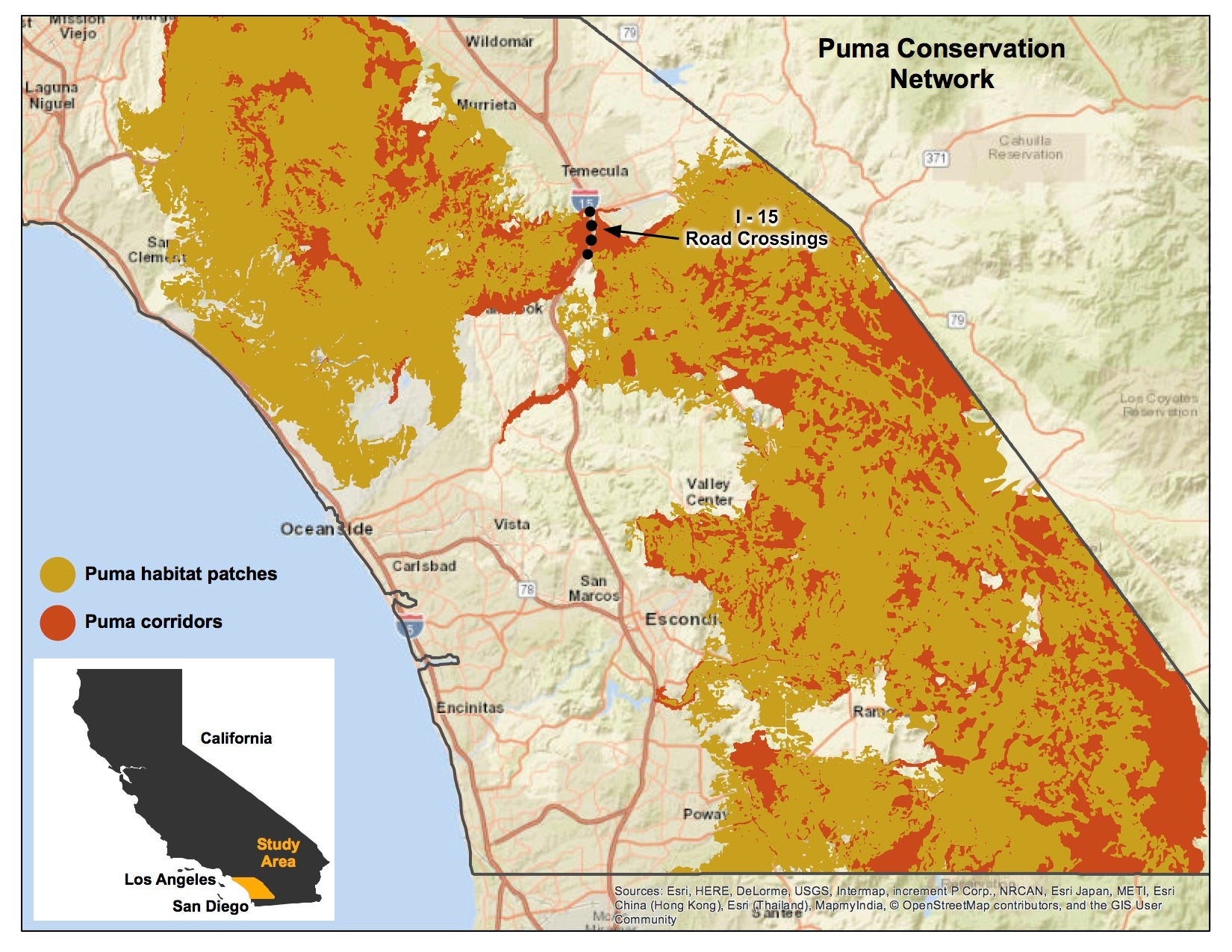 Puma conservation network