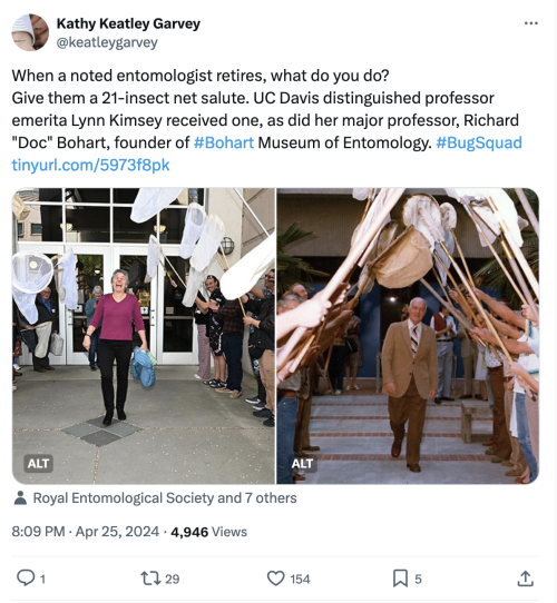 Tweet by Kathy Keatley Garvey saying 'When a noted entomologist retires, what do you do? Give them a 21-insect net salute. UC Davis distinguished professor emerita Lynn Kimsey received one, as did her major professor, Richard "Doc" Bohart, founder of #Bohart Museum of Entomology. #BugSquad tinyurl.com/5973f8pk' The tweet includes two images - one showing a woman in purple walking out of a building while people hold up insect nets in celebration, and another of an elderly man in a suit walking out as people 