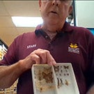 Man holding tray of moths and butterflies.