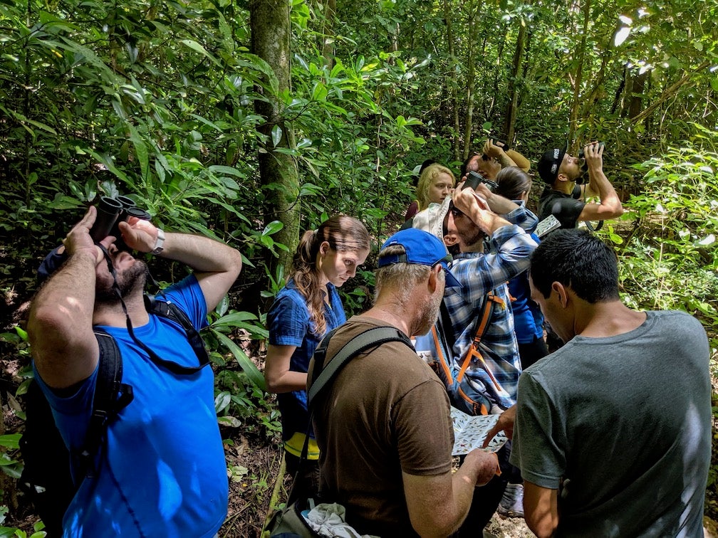 Bird watchers look up into trees in Costa Rica