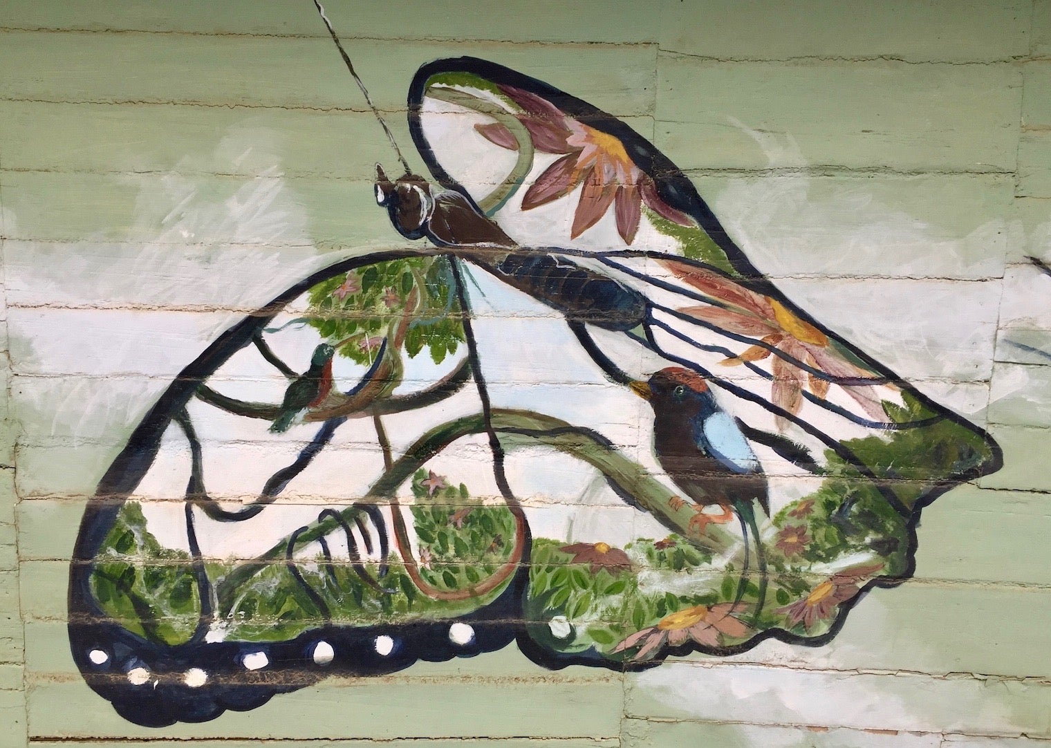 Mural in costa rica of popular birds inside a butterfly painting