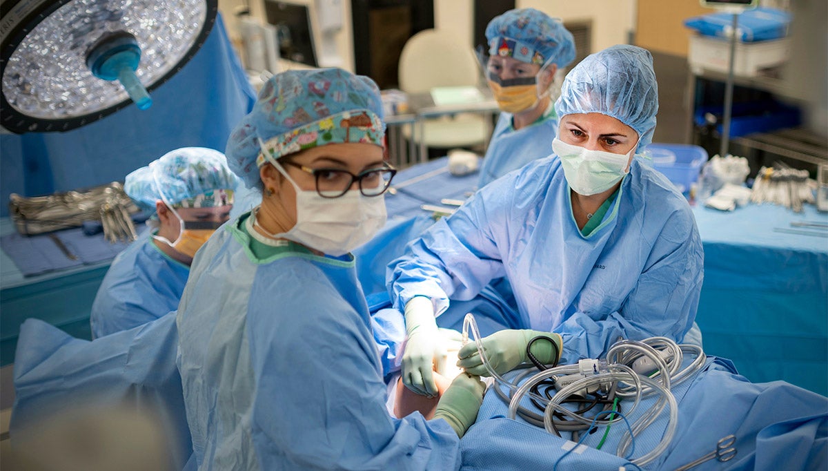 Team of women perform laparoscopic surgery