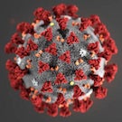 Novel Coronavirus molecular structure