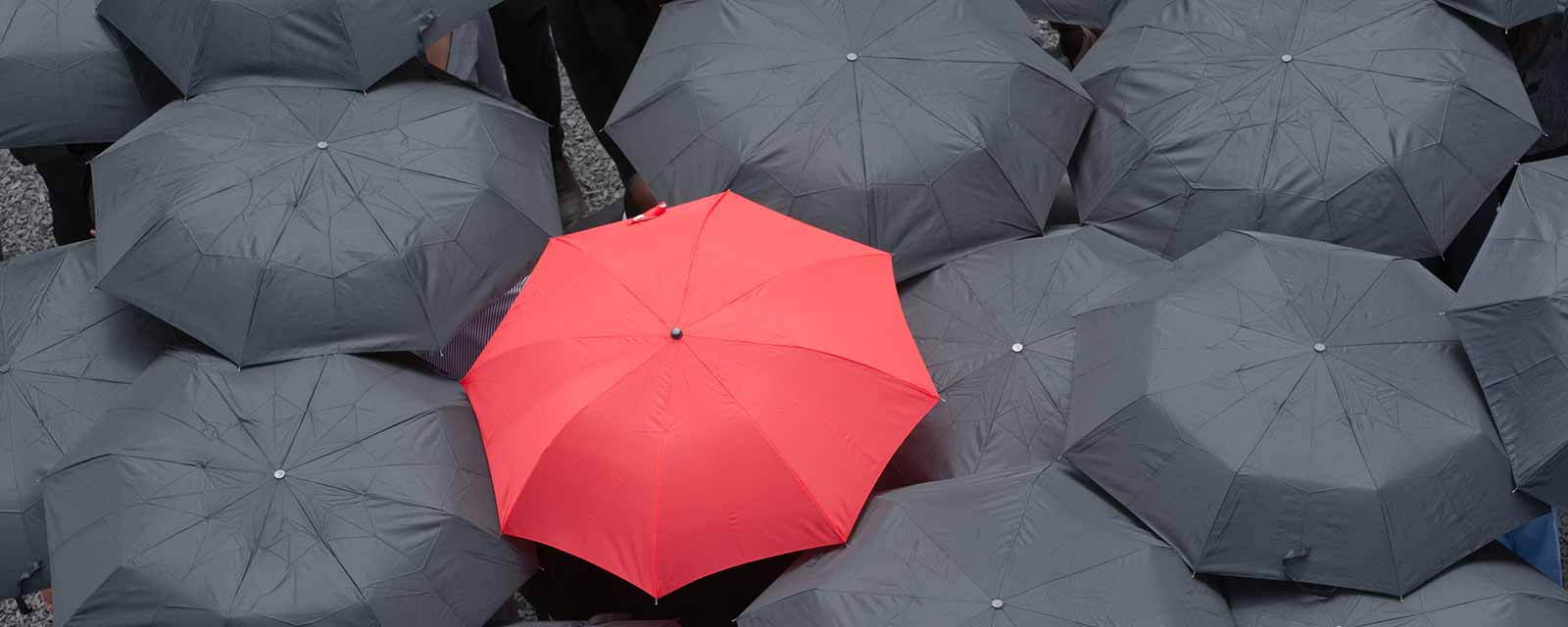 red umbrella in a sea of black umbrellas