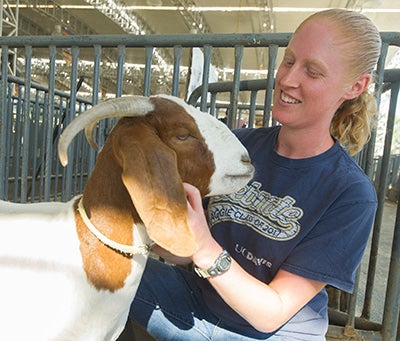 What Can I Do With an Animal Science Major? | UC Davis