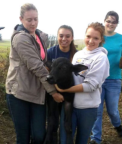 Three females students with a water buffalo calf
