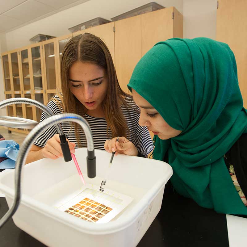Two female students examine a plastic tube with samples in it