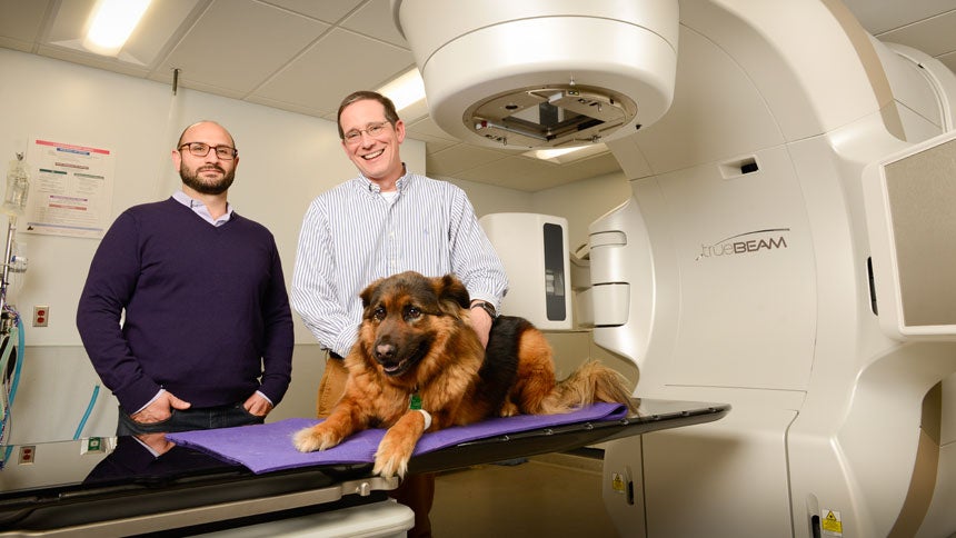 UC Davis radiation oncologist and veterinary radiation oncologist 