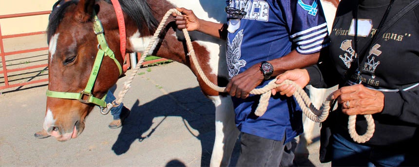 Two adults hold a rope as they lead a horse alongside a barn