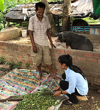 Cambodian male farmer overseeing a young Cambodian college student mixing vegetable matter together