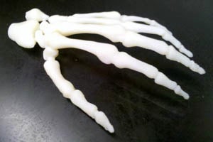 three-dimensional printed hand bones