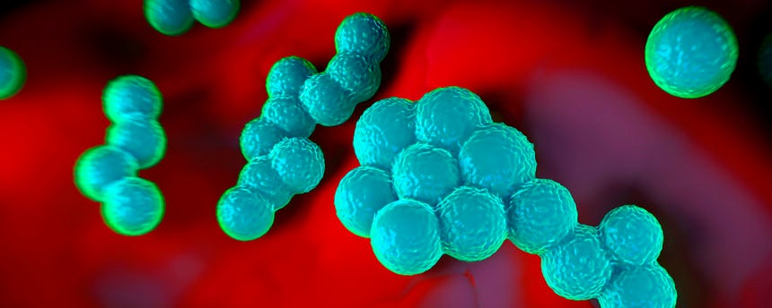 Close-up image of bacteria rendered in blue-green against a red background