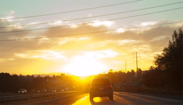 A highway scene at dusk, when lions are more active.