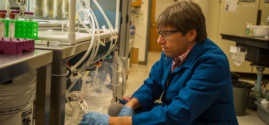 animal scientist Matthias Hess in his Artificial Cow Gut Lab