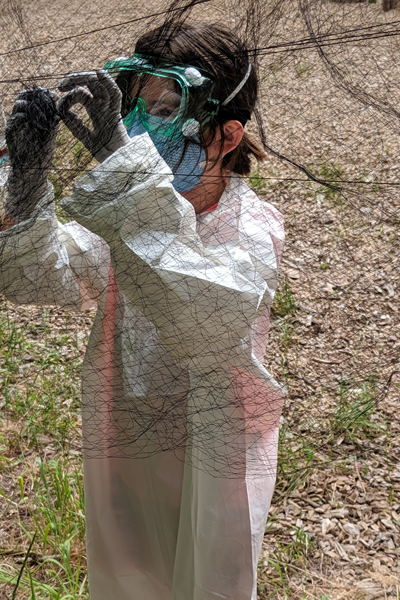 A camper removes bats from mist nets