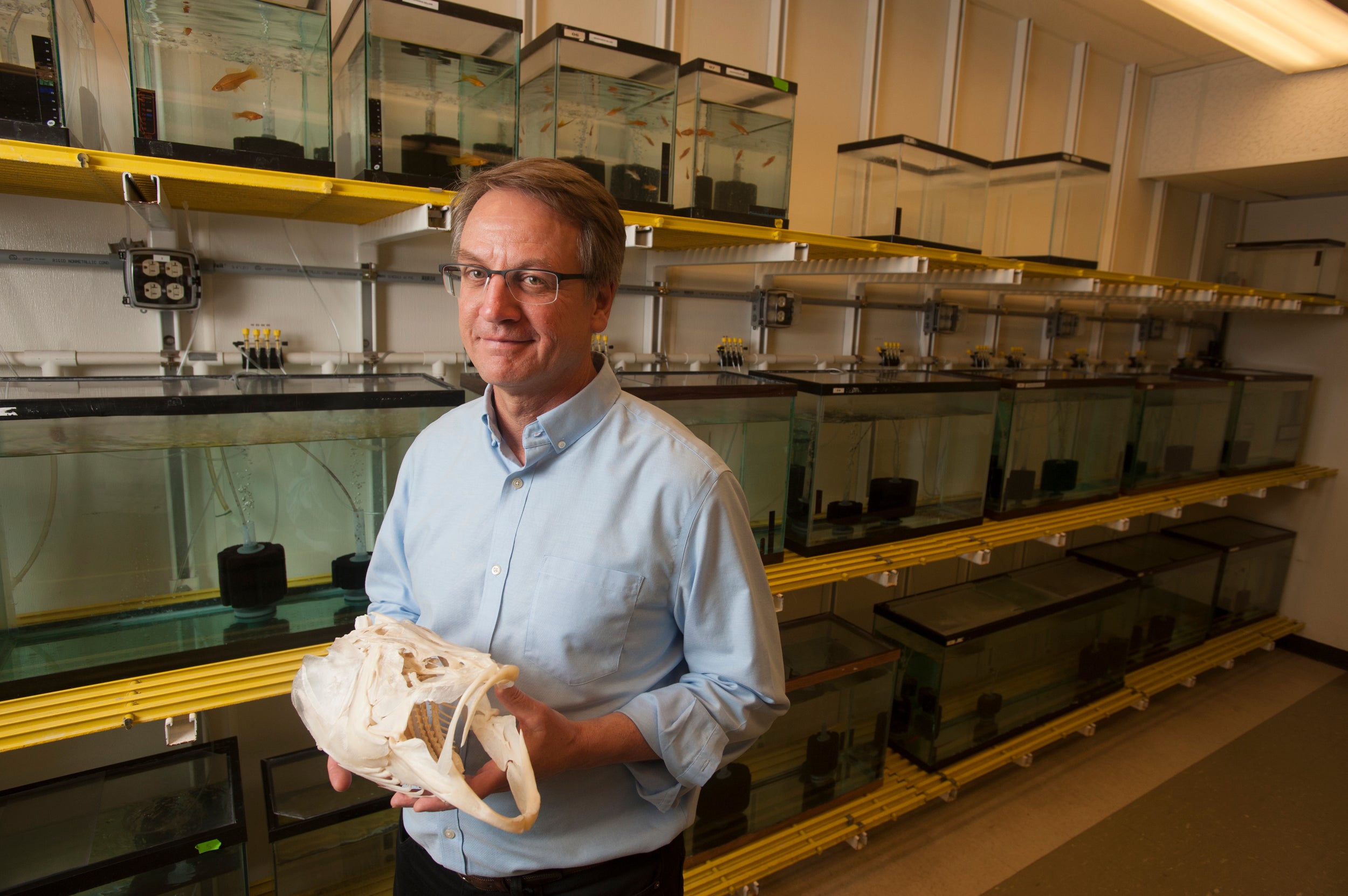 Peter Wainwright Explores Fish Evolution and Feeding - UC Davis
