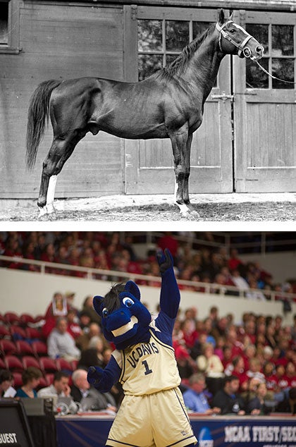 What s in the Gunrock name 100 years of history UC Davis What s in the Gunrock name 100 years of history UC Davis