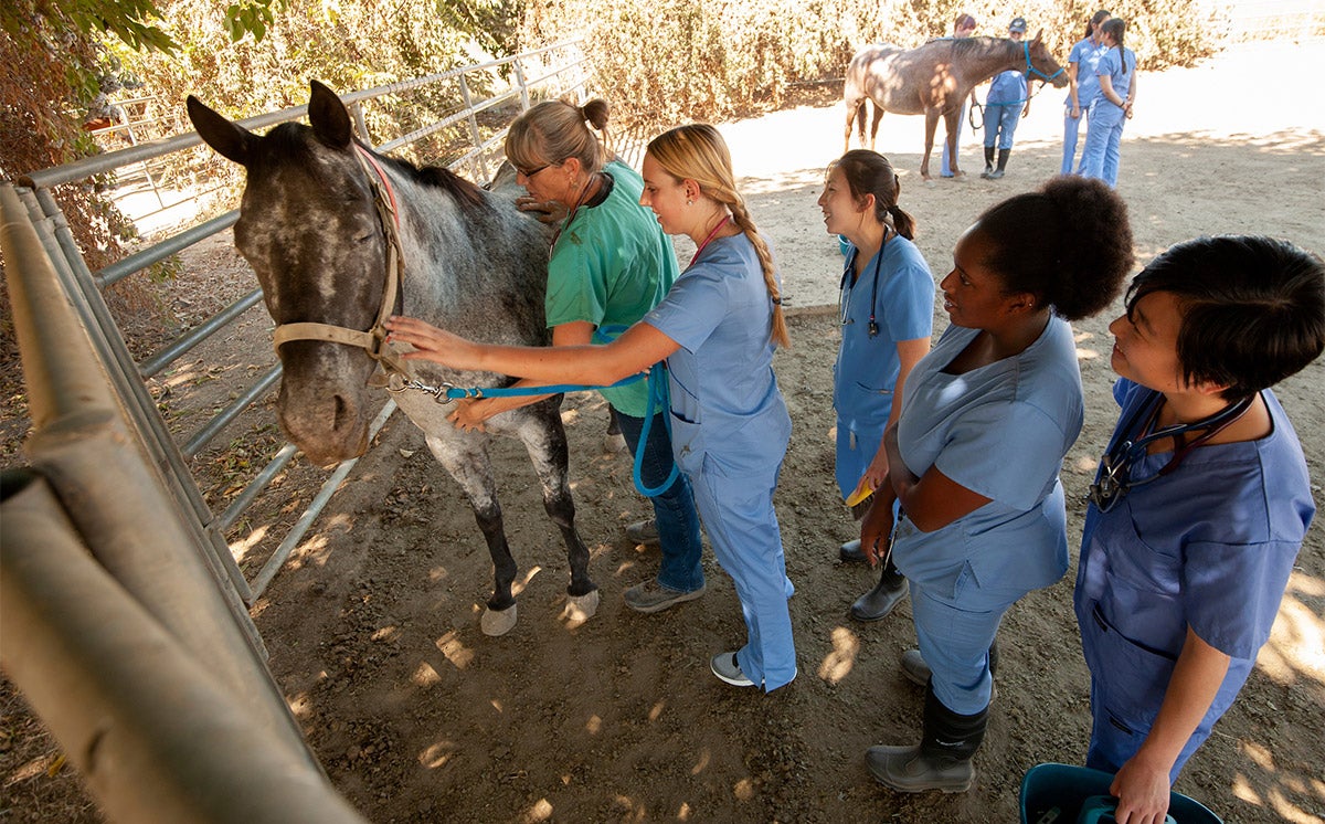 NEWS BRIEFS Vet School Receives Full Accreditation UC Davis