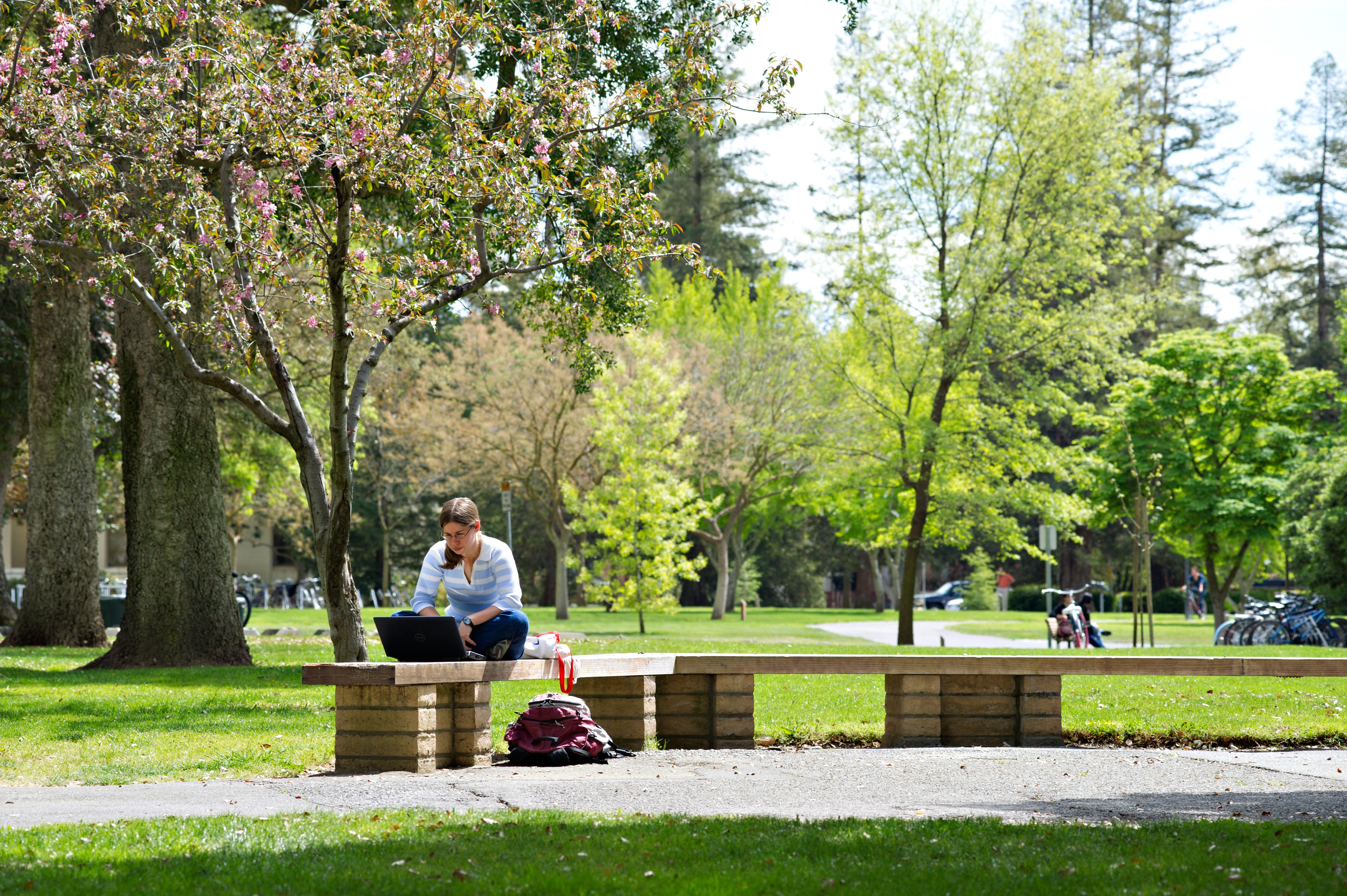 uc-davis-undergraduate-admissions-application-uc-davis