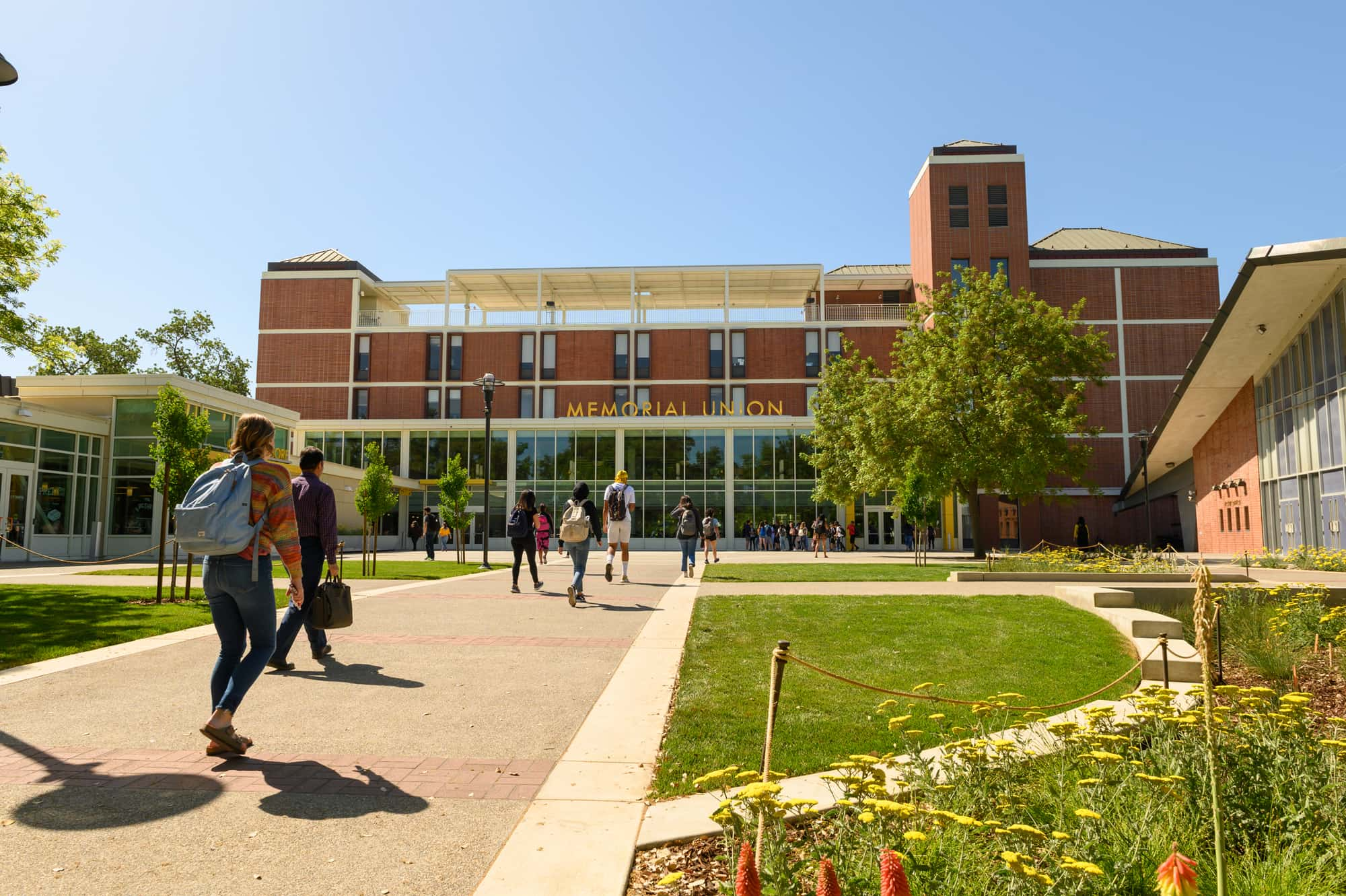 freshman-applicants-other-paths-to-admission-uc-davis