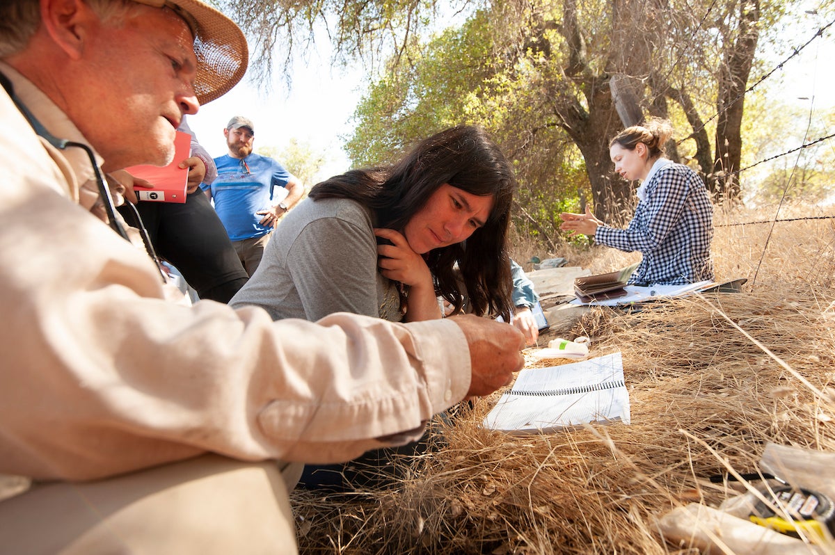 A professor and student examine soil results in a field. 