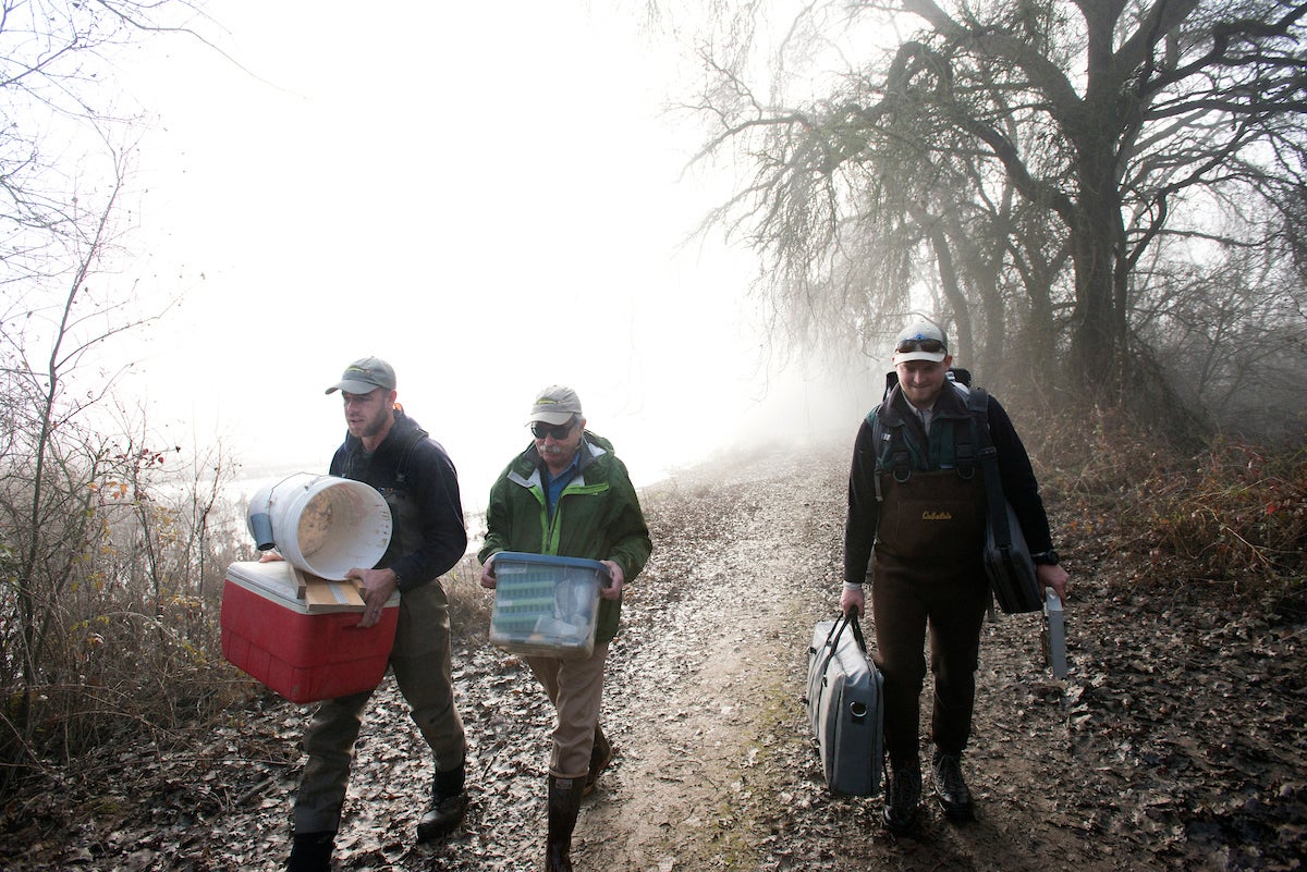 Three researchers carry gear from foggy river along dirt road