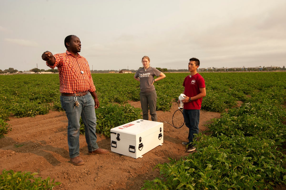Male scientist points in the distance with two adult students in agricultural field