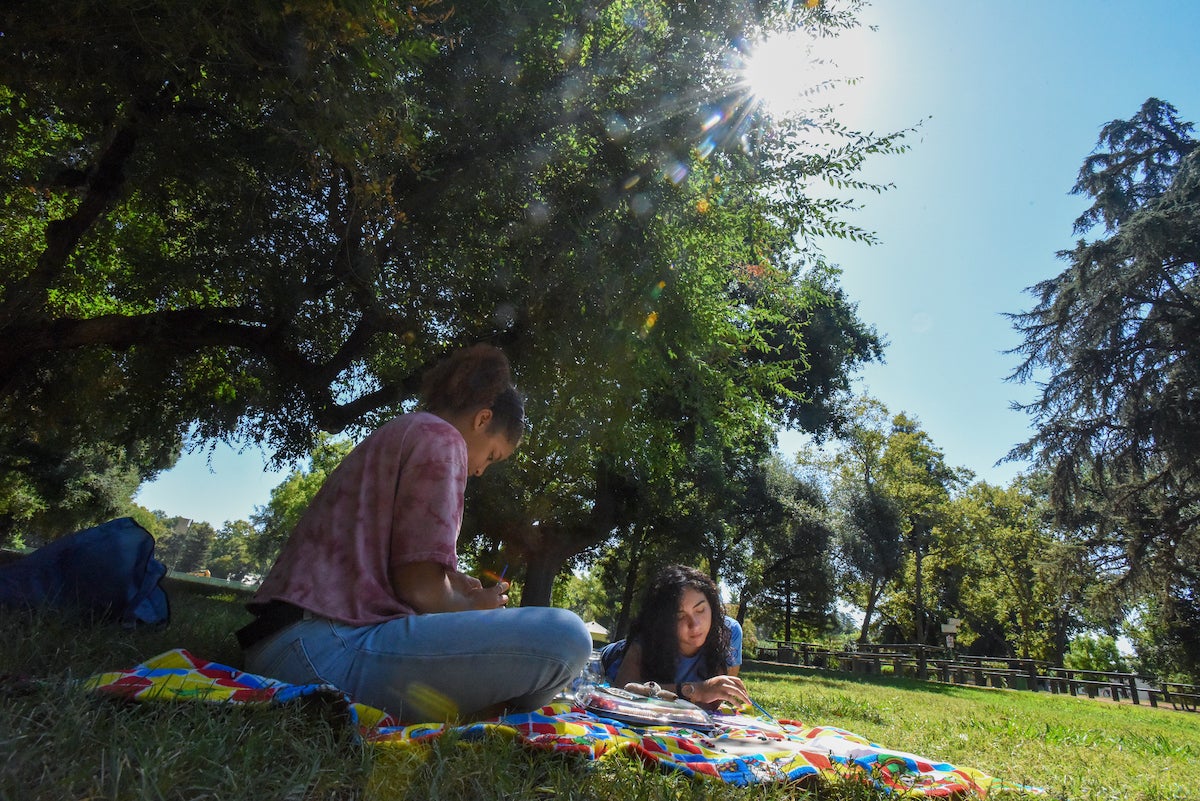 Two young women paint and listen to music in a park under trees in the shade.