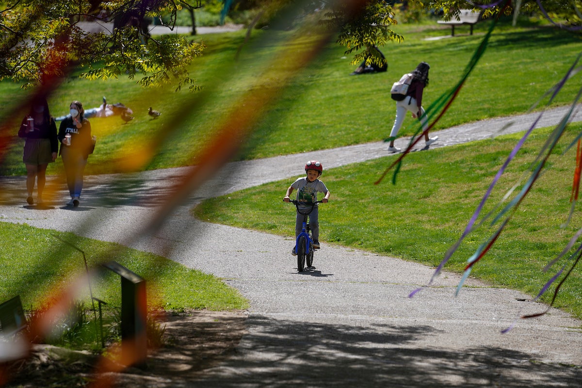 A child on cycle in center of passersby under colorful ribbons under a tree