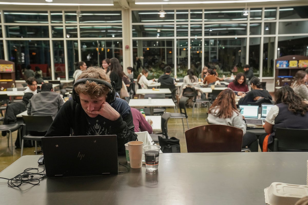 A student studies his laptop closely at UC Davis. 