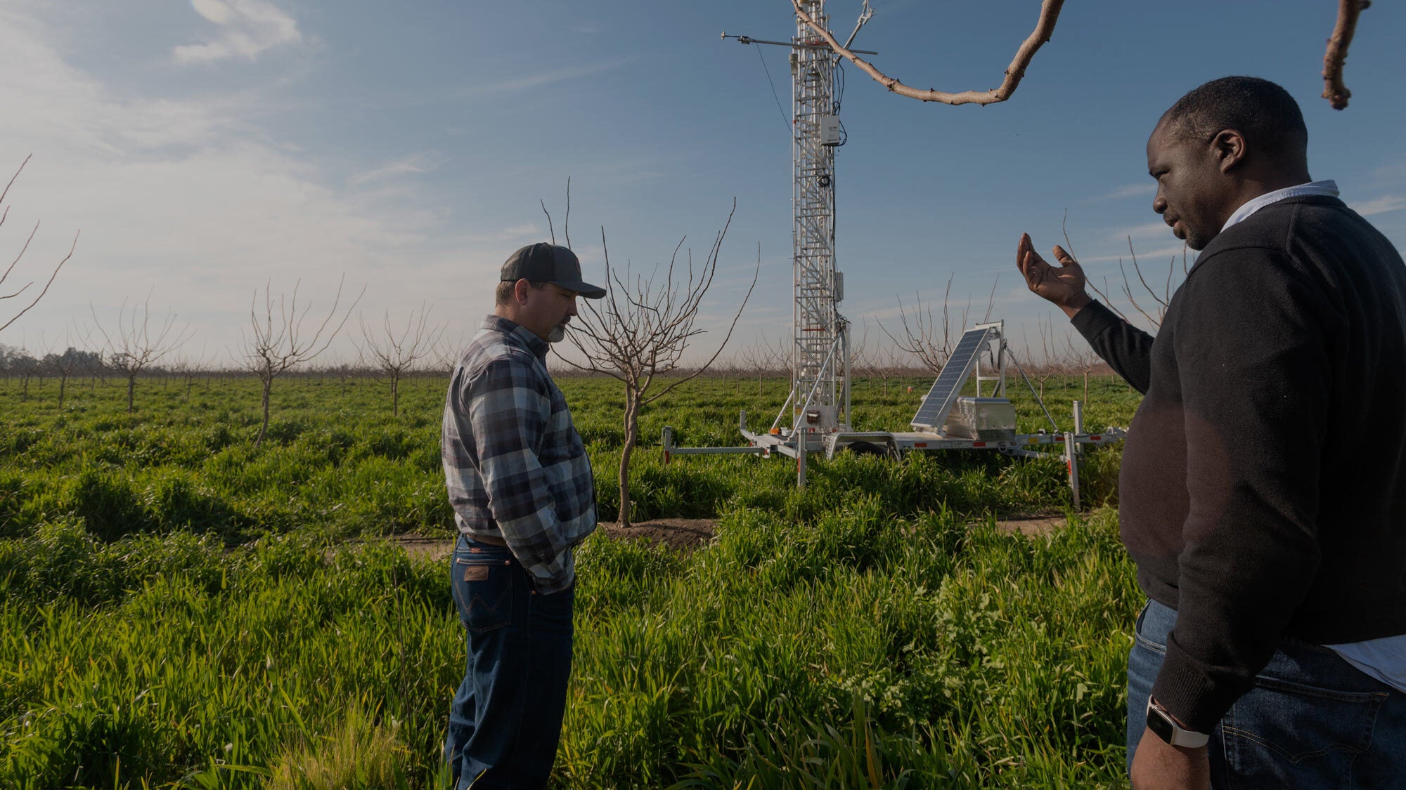 UC Davis Agricultural Water Center Director Isaya Kisekka talks with farmer Nick Edsall about monitoring results that measure how cover crops promote water absorption and retention. (Gregory Urquiaga/UC Davis)