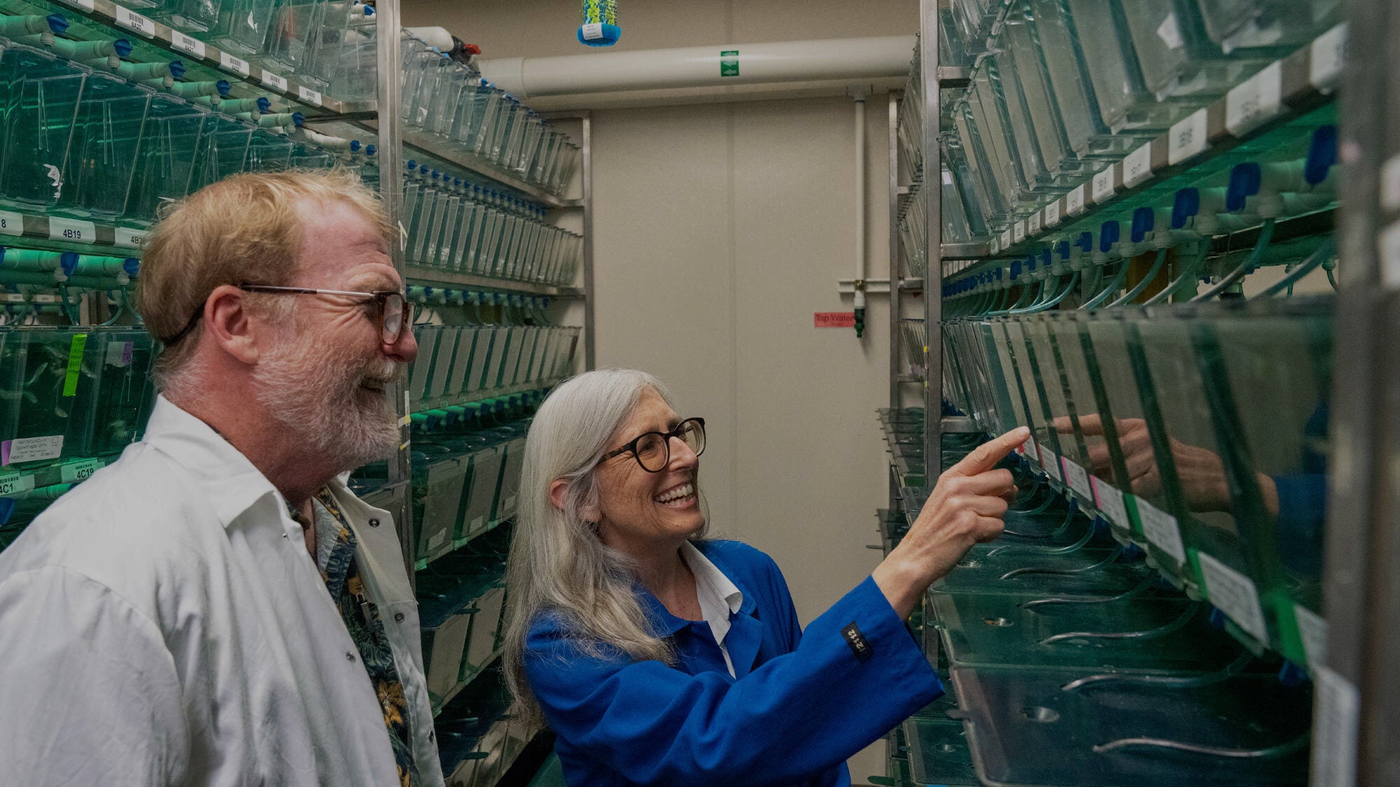 UC Davis College of Biological Sciences faculty exploring the zebrafish facility to advance genetics research. (Sasha Bakhter/UC Davis)