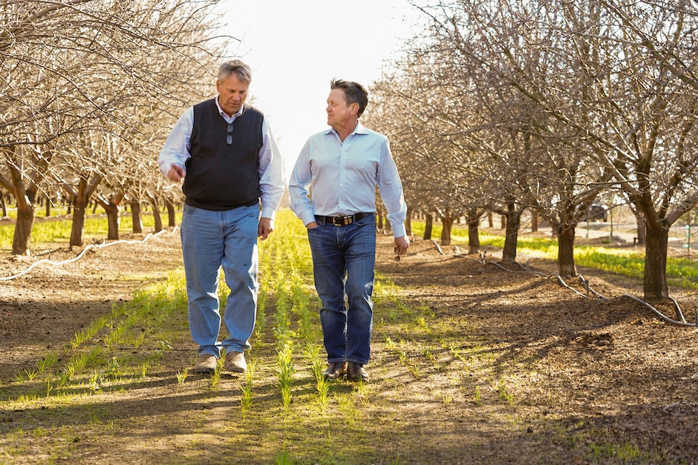 Kirk Pumphrey, left, and Patrick Brown, a distinguished professor in the Department of Plant Sciences, right, walk through rows of almond trees at Westwind Farms in Yolo County. (Karin Higgins/UC Davis)