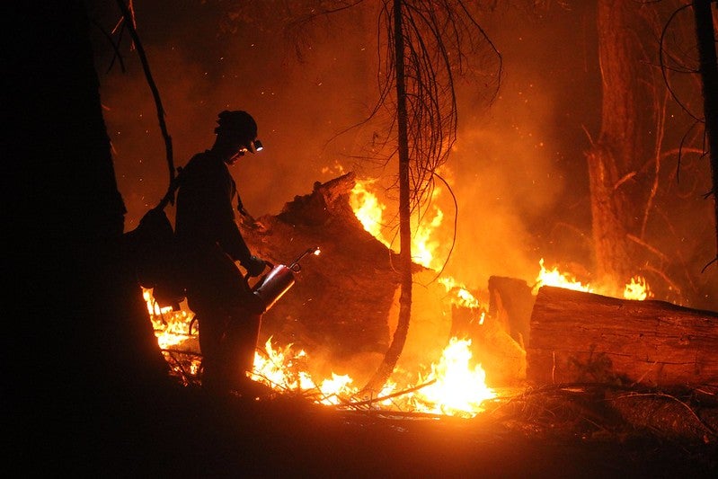 silhouette of fire fighter as forest blazes with wildfire