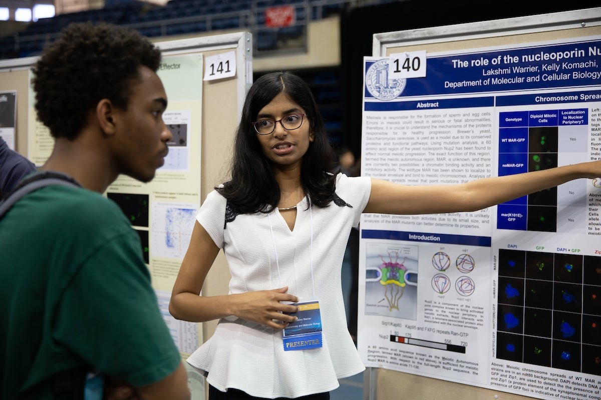 A student demonstrates her diorama to another student at UC Davis. 