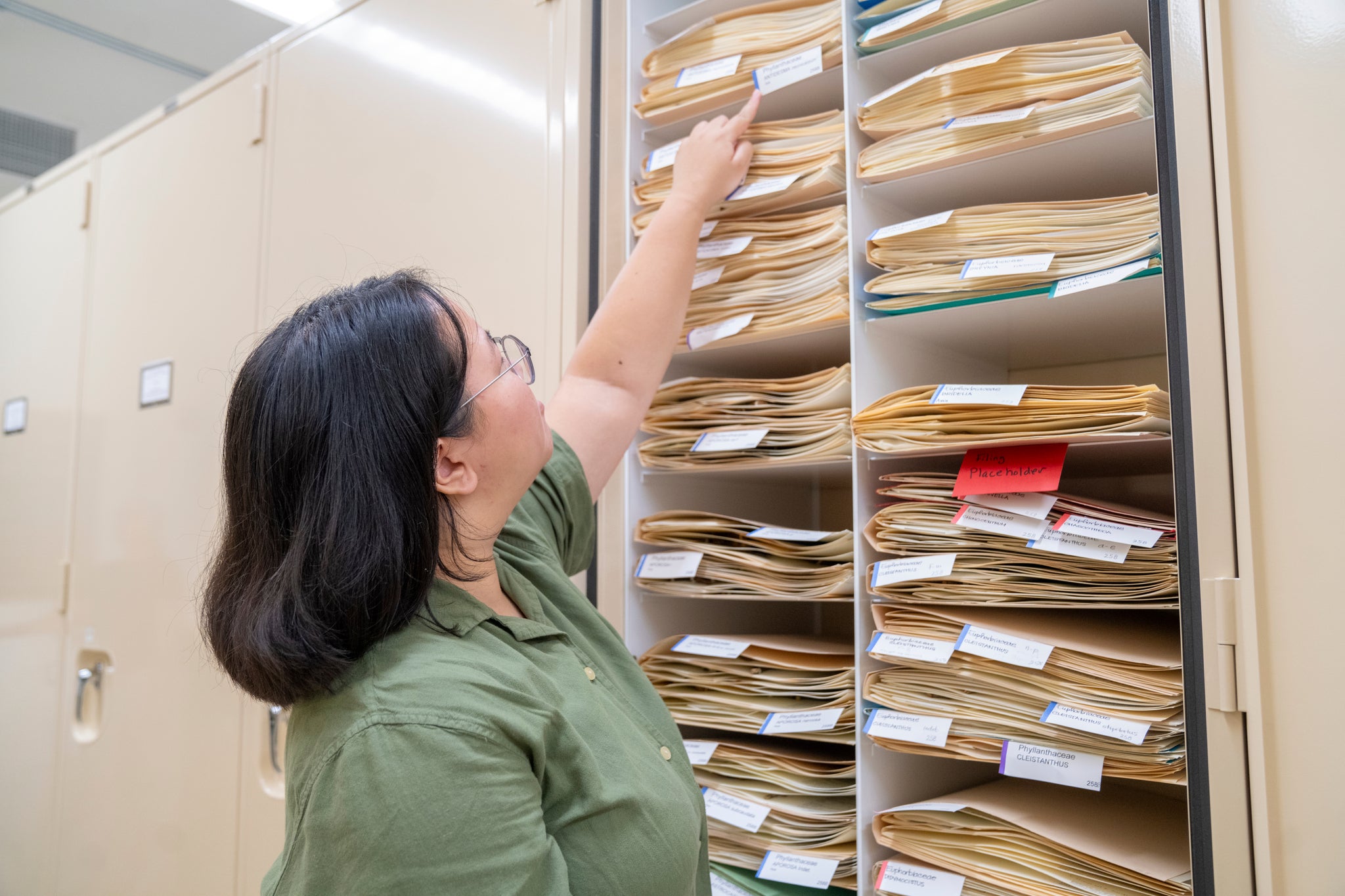 Woman reaching for a folder on tall archive shelves filled with manila files