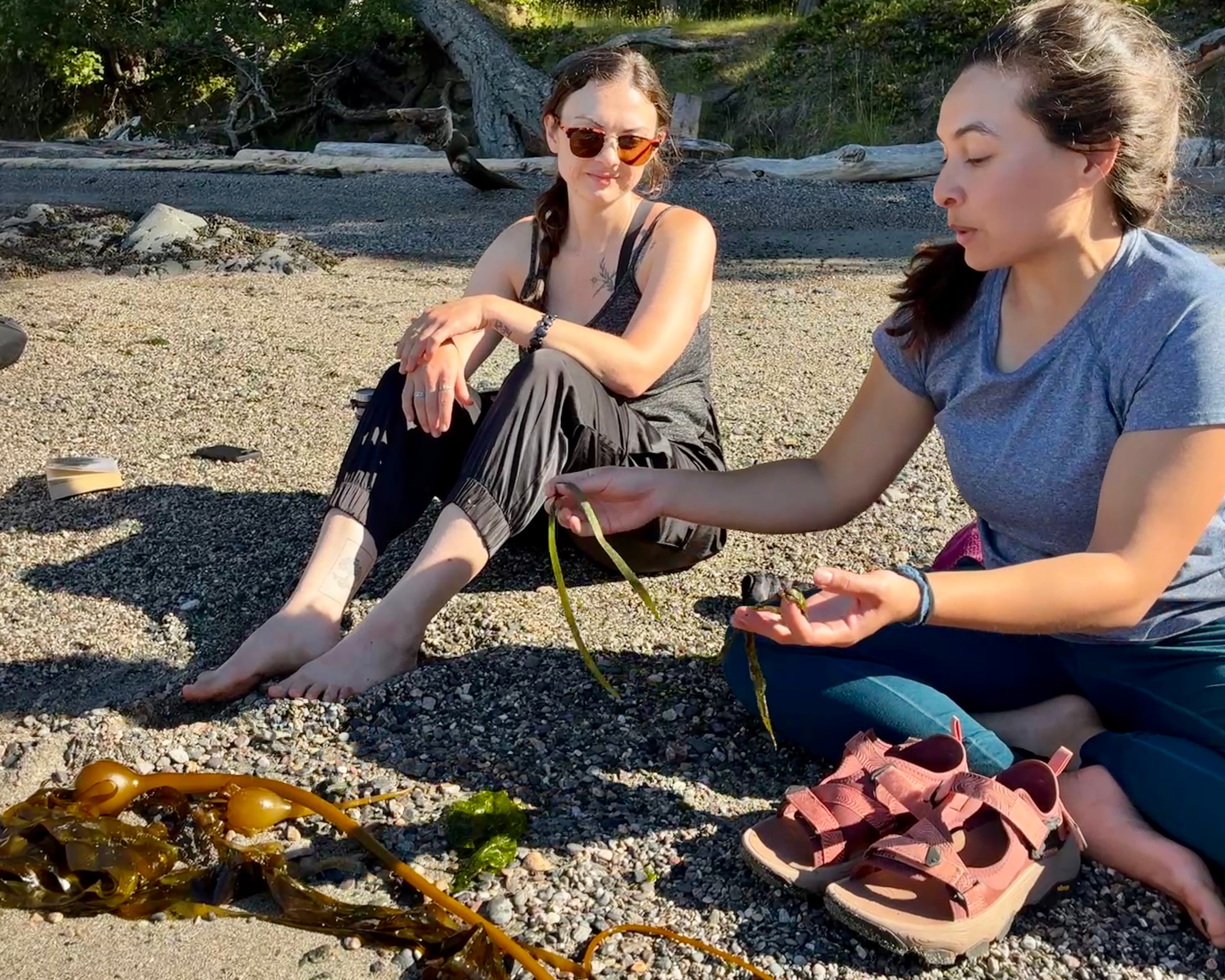 Two women on rocky shore examining brown kelp, sandals beside them, photograph
