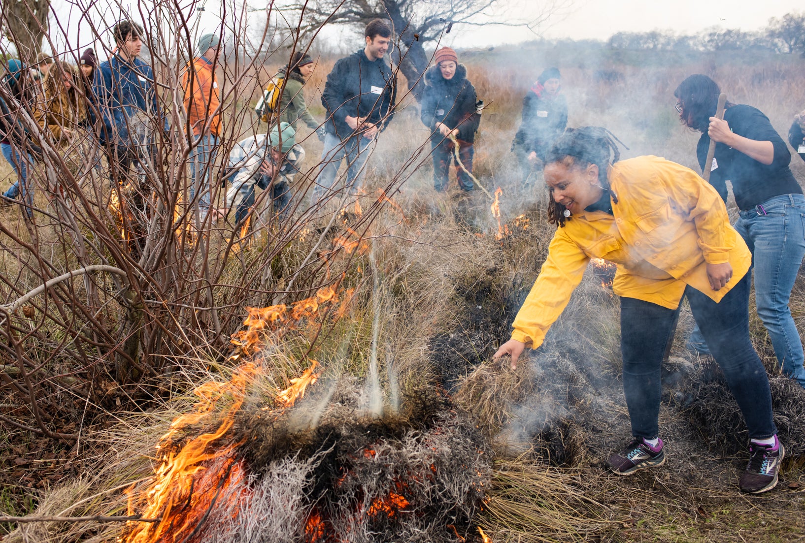 Beth Rose Middleton Manning in yellow jacket leans over burning pile of deergrass near other participants of a cultural burn at a nature reserve.