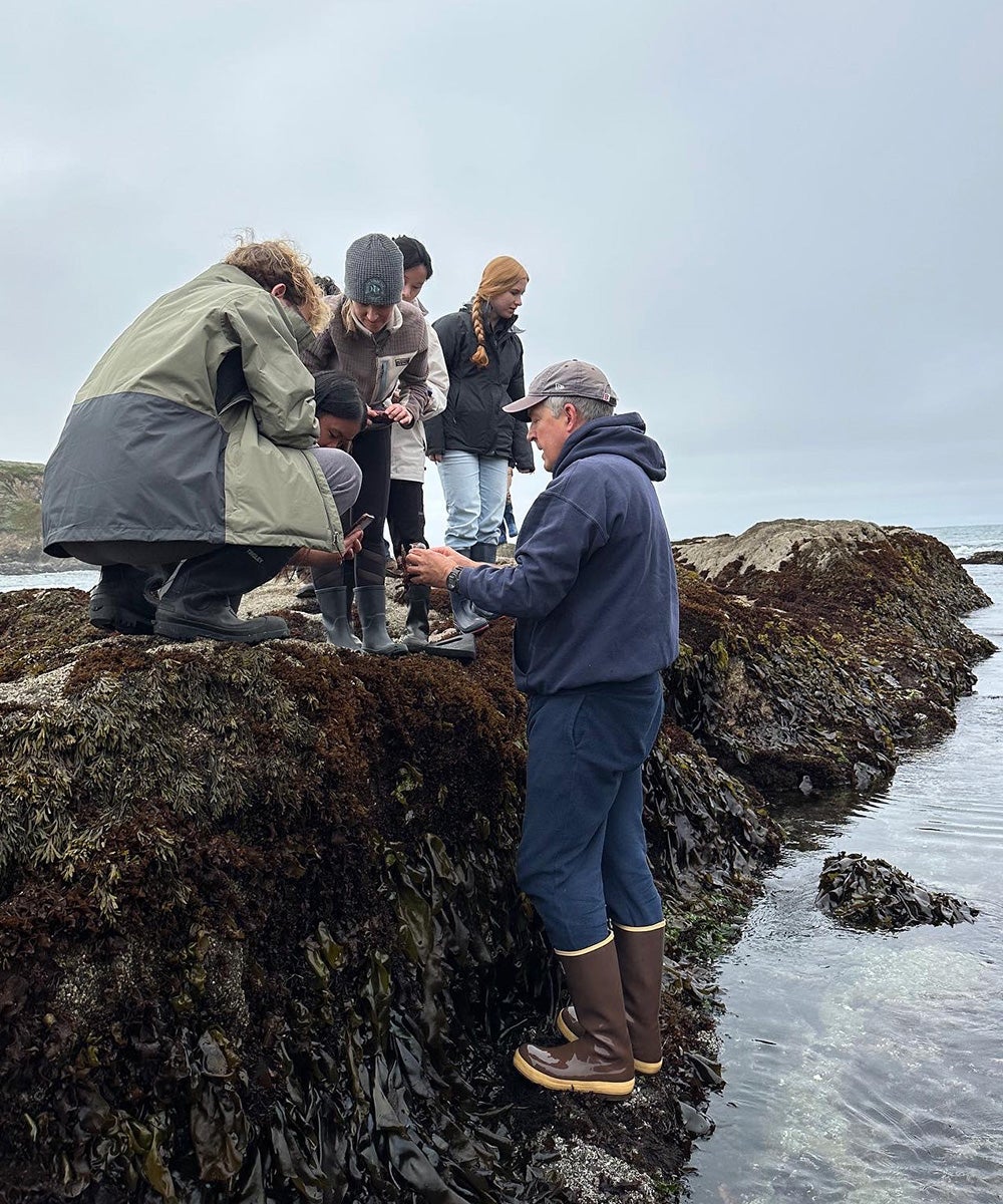 A Bodega Marine Laboratory summer class provides on site learning