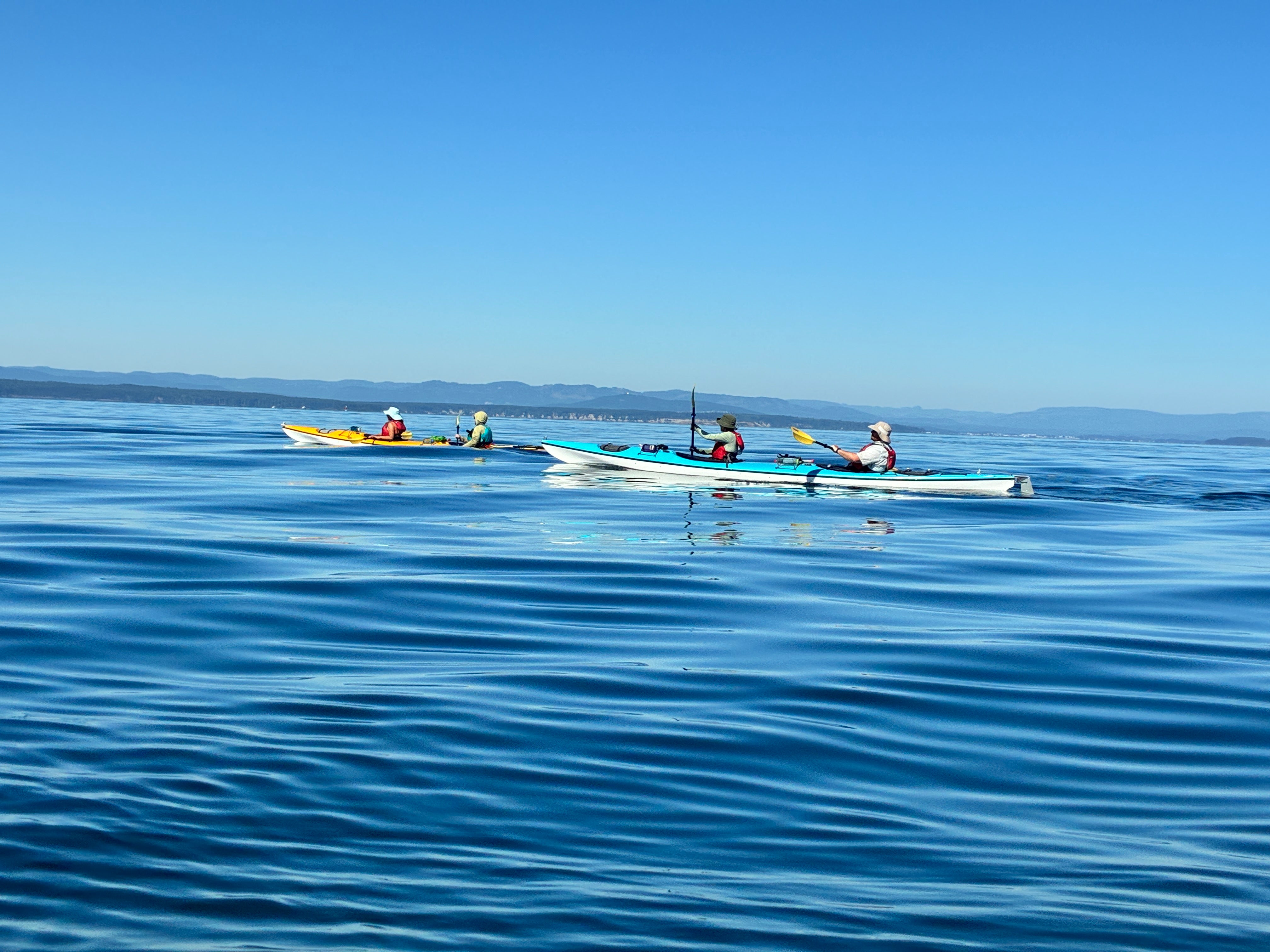 Four kayakers paddling on a calm blue sea under a clear sky