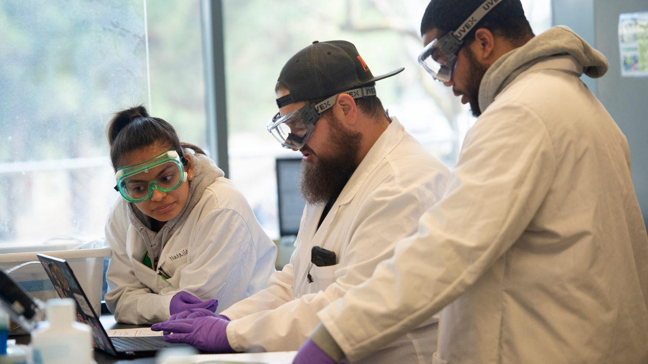 (l to r) Natalie Garcia, Josh Hagen and Oliver Davis, Food Science majors, work on the lab results during the Food Analysis Lab.