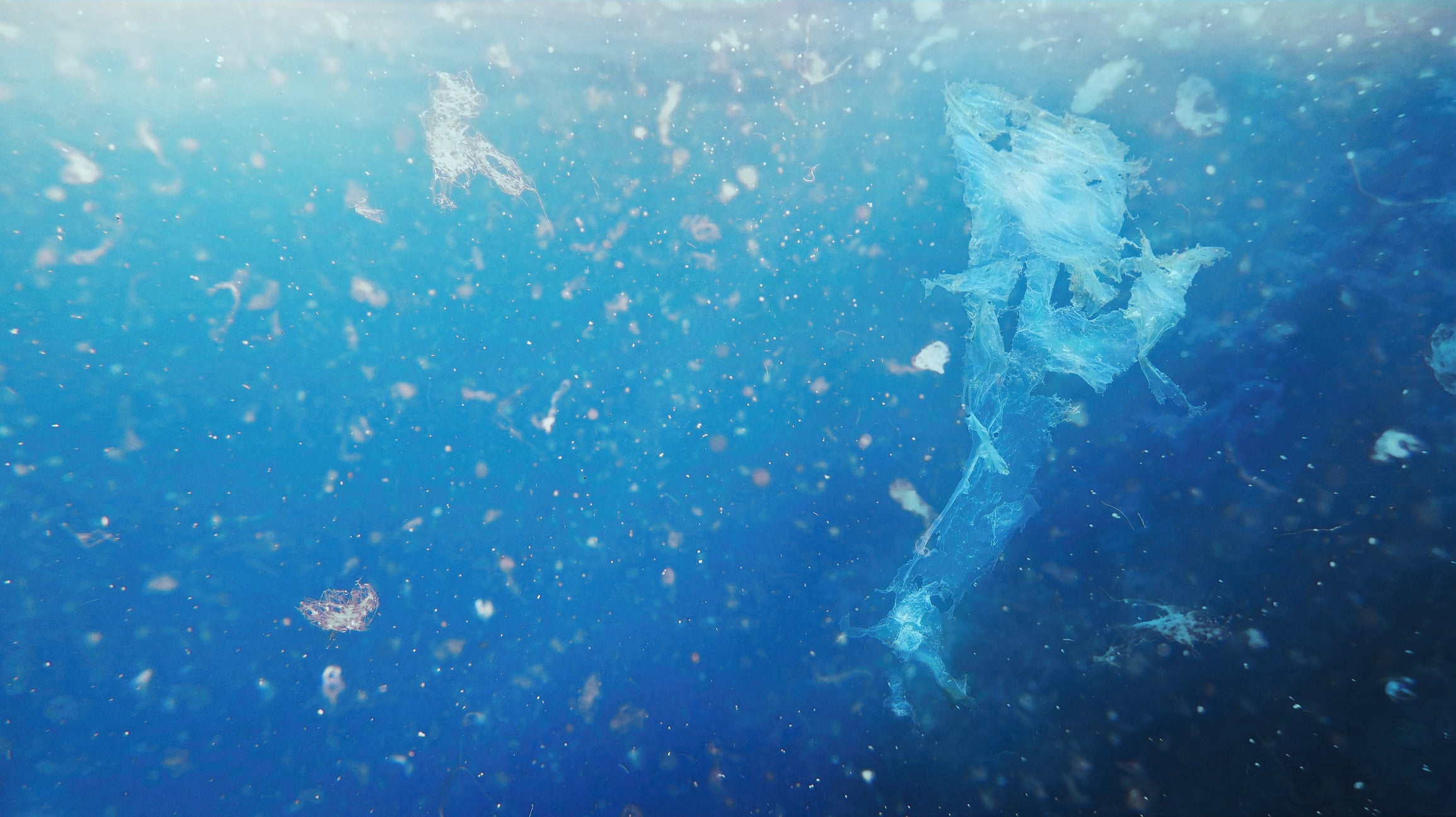 Particles of plastic drift under blue water in the ocean