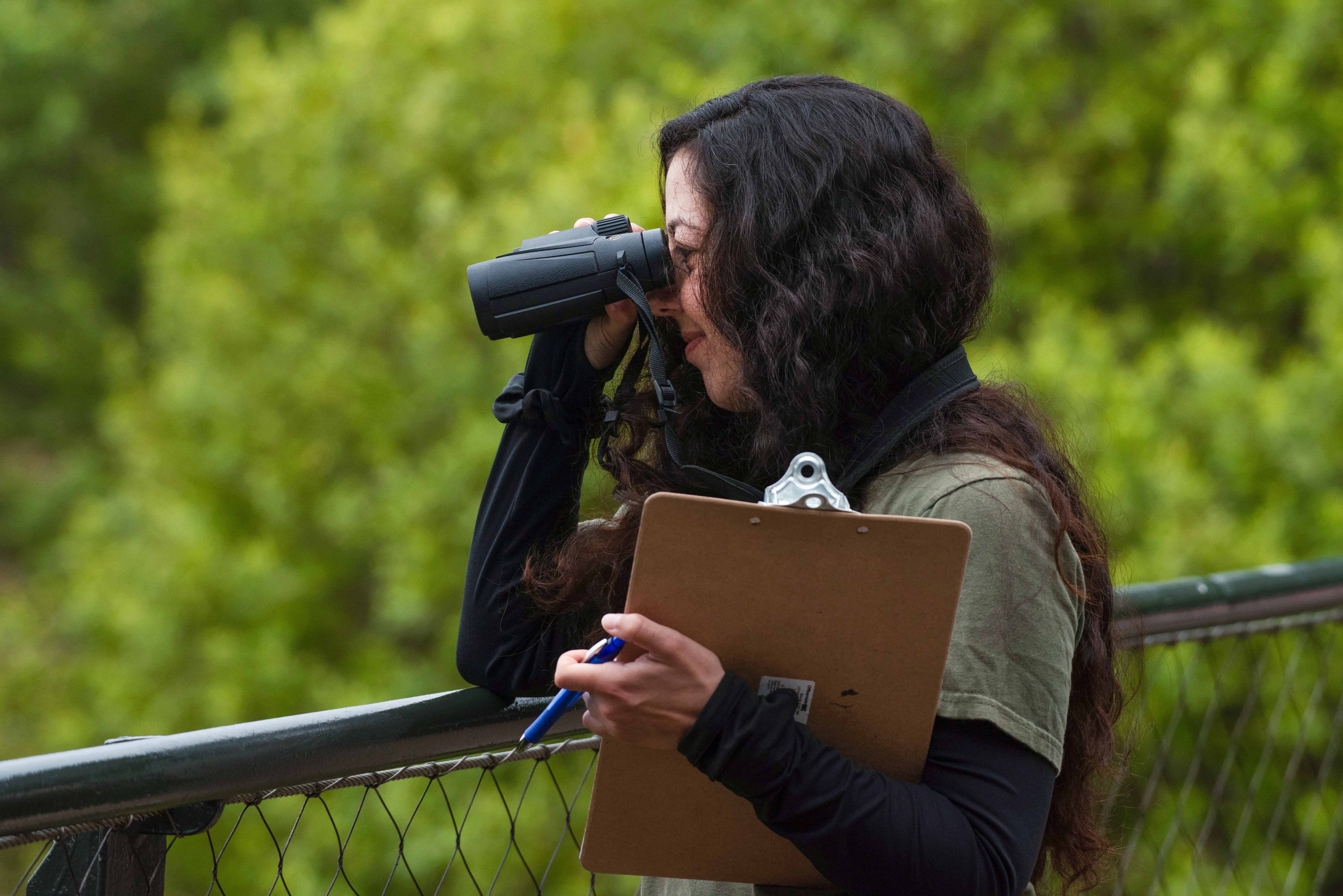 Yasmeen Ghavamian observing wolves at the Oakland Zoo