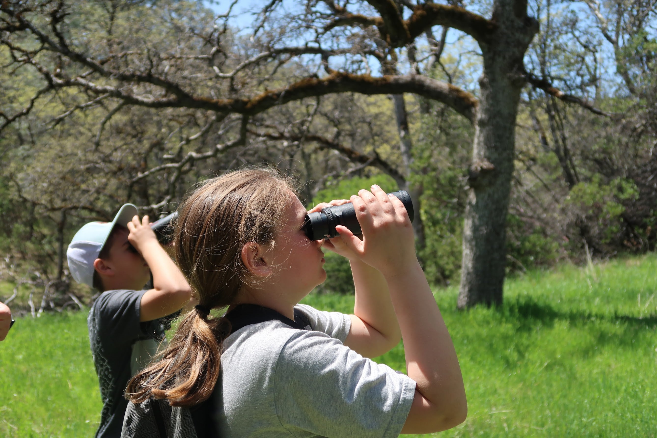 Student uses binoculars to search for birds 