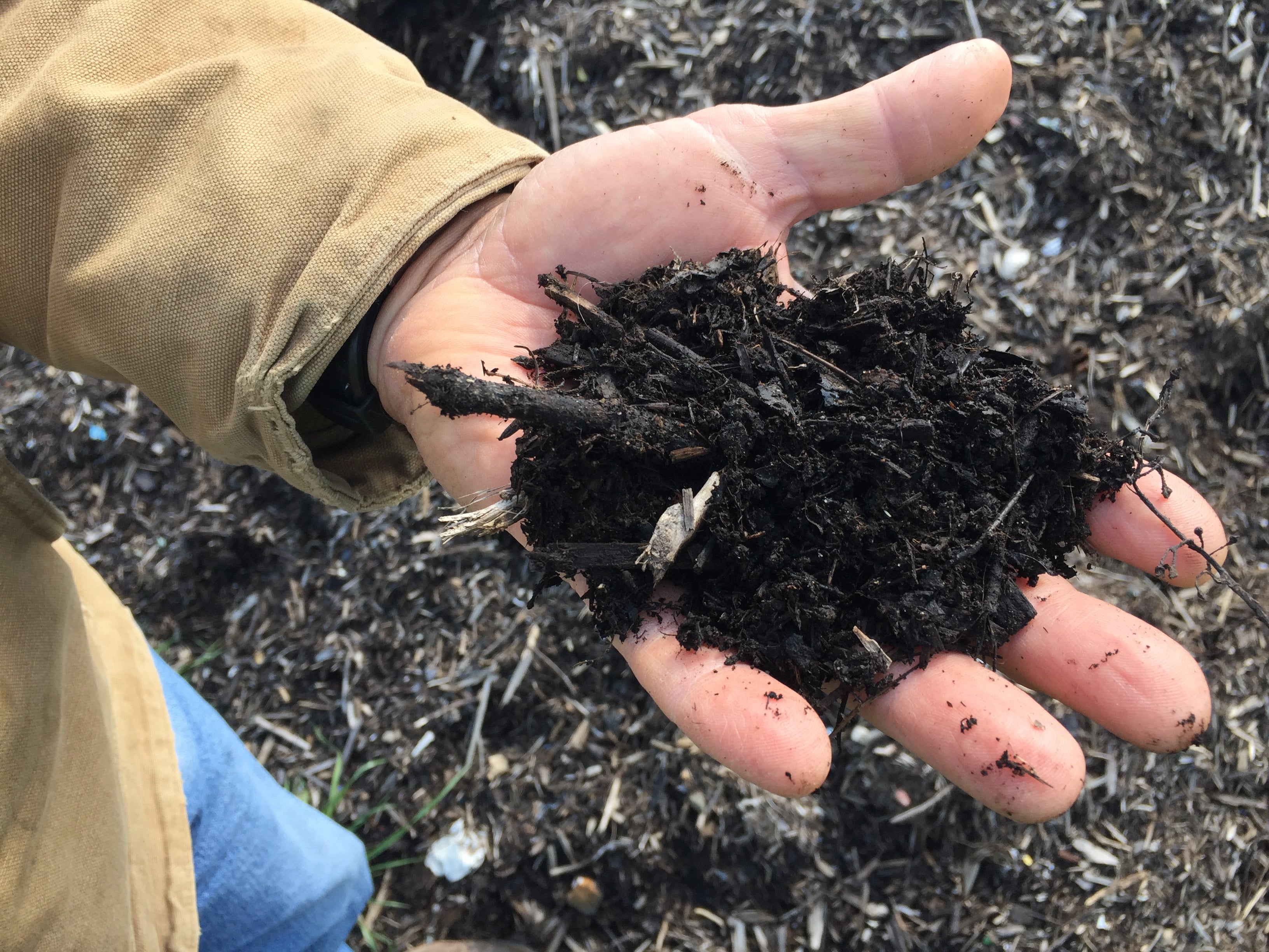 a hand full of compost