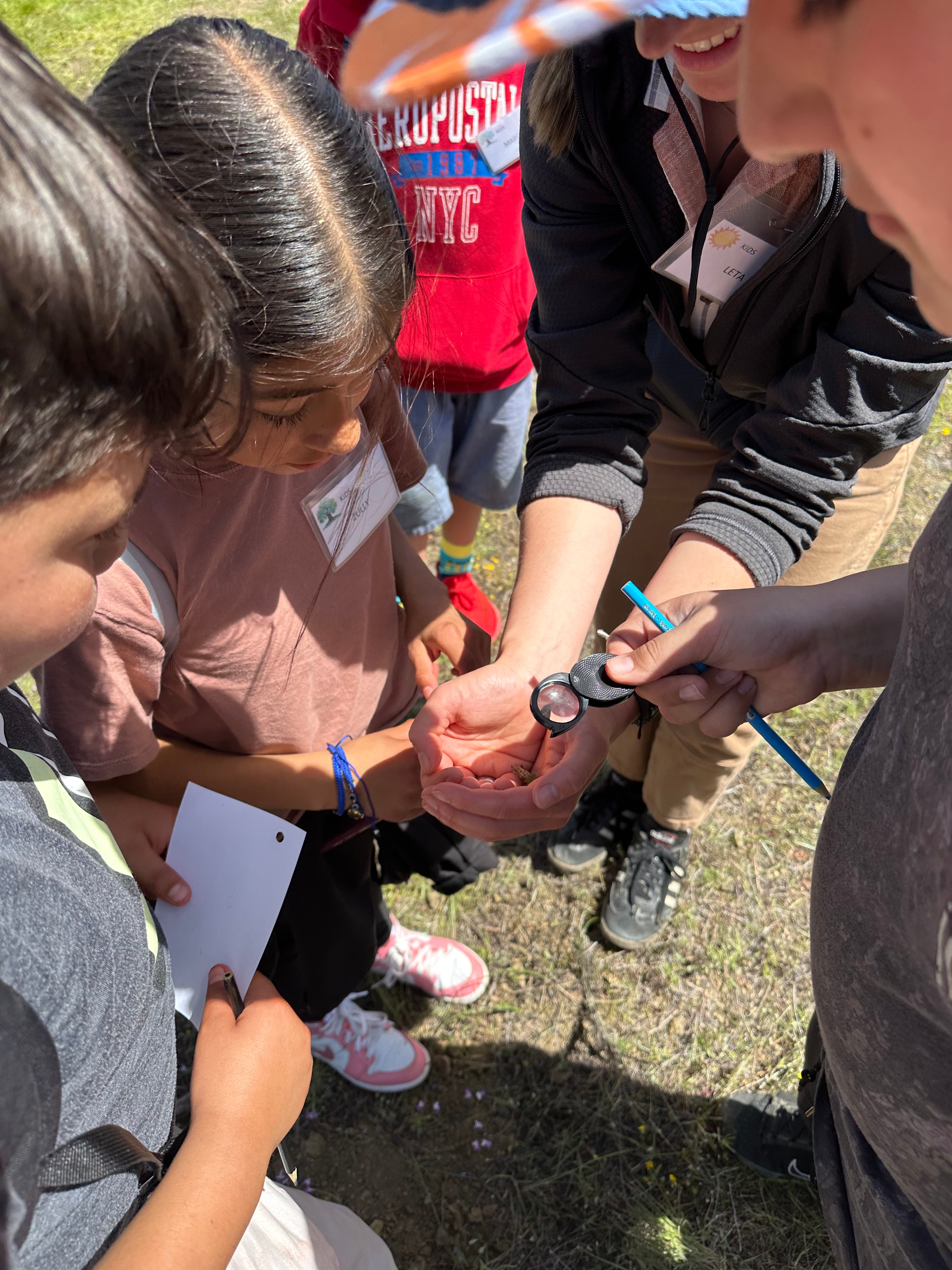 Students examine a bug through a hand lens