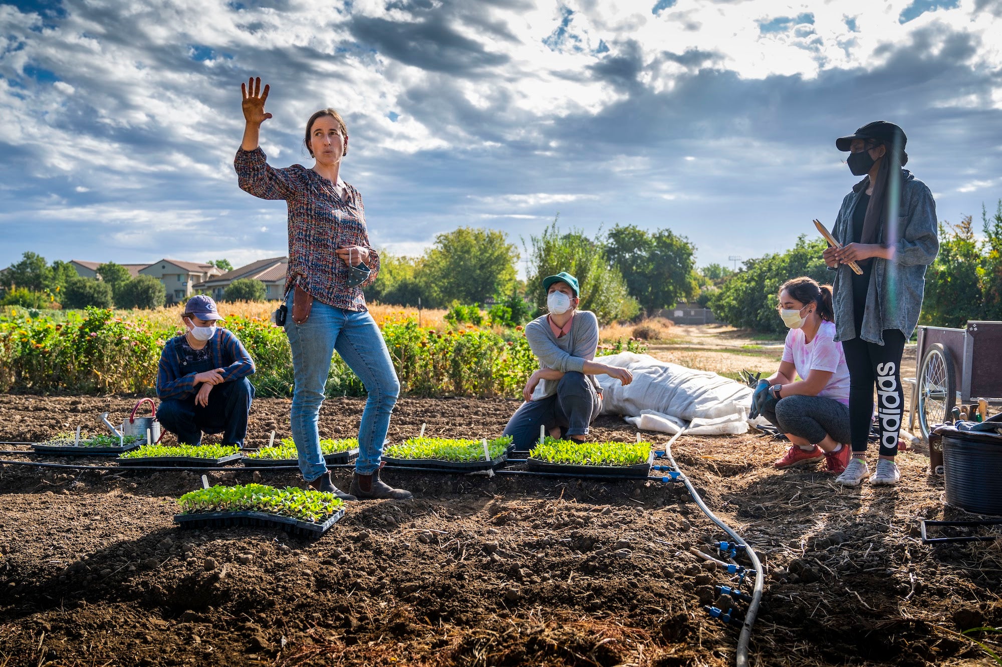 Students gardening in Yolo County near UC Davis student farm