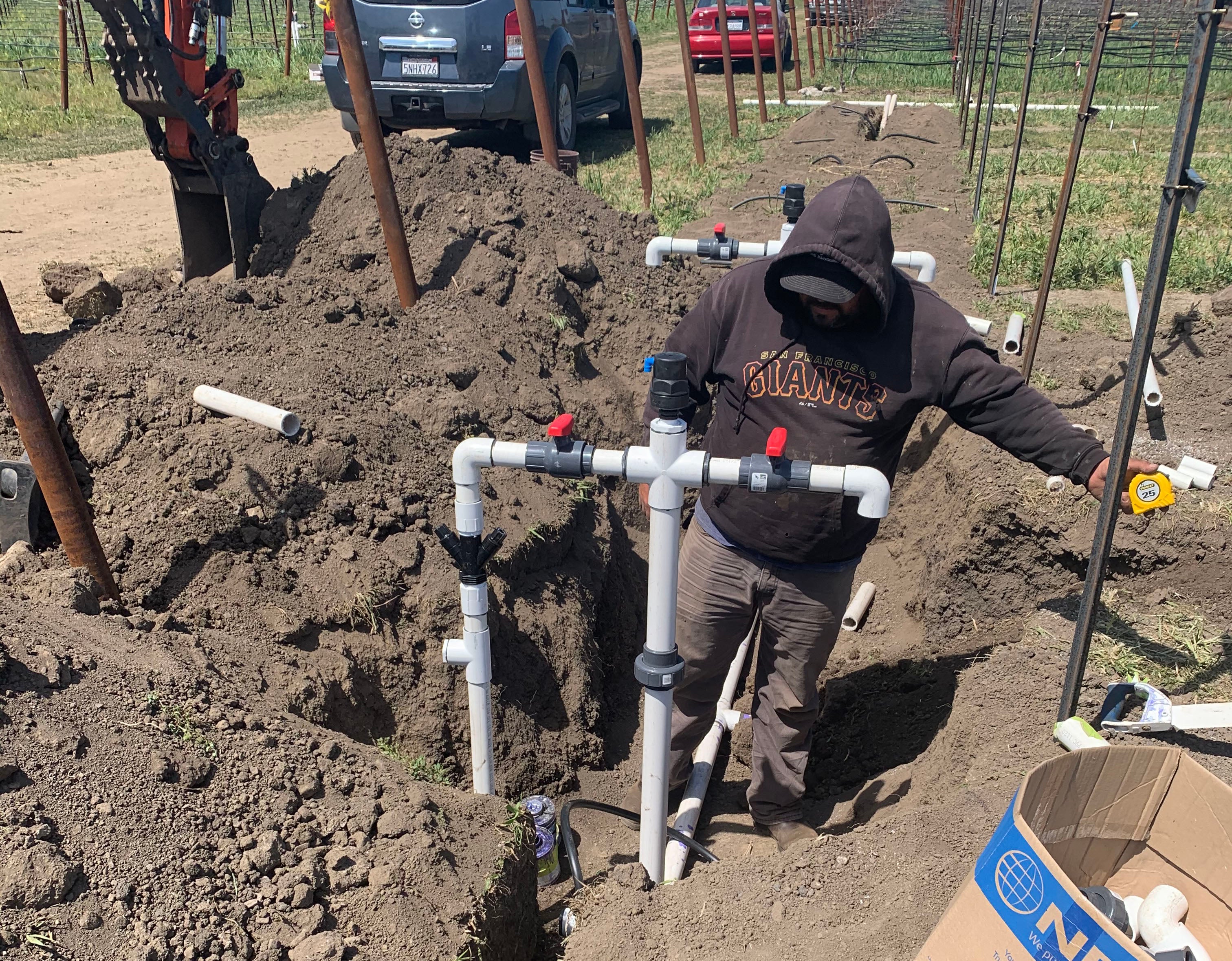 Drip irrigation system being installed at a new vineyard at the Oakville Station