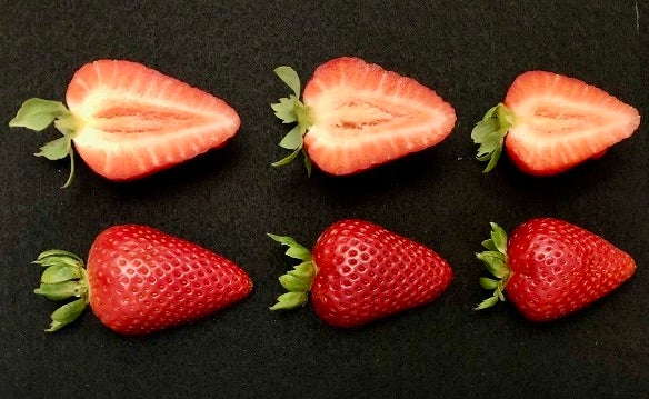 Six "Keystone" strawberries with three cut in half shown with black backdrop. 
